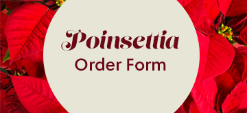 Poinsettia Christmas Honors and Memorials Form