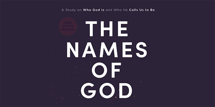 REVIVE Bible Study (Women, 30s to 50s)